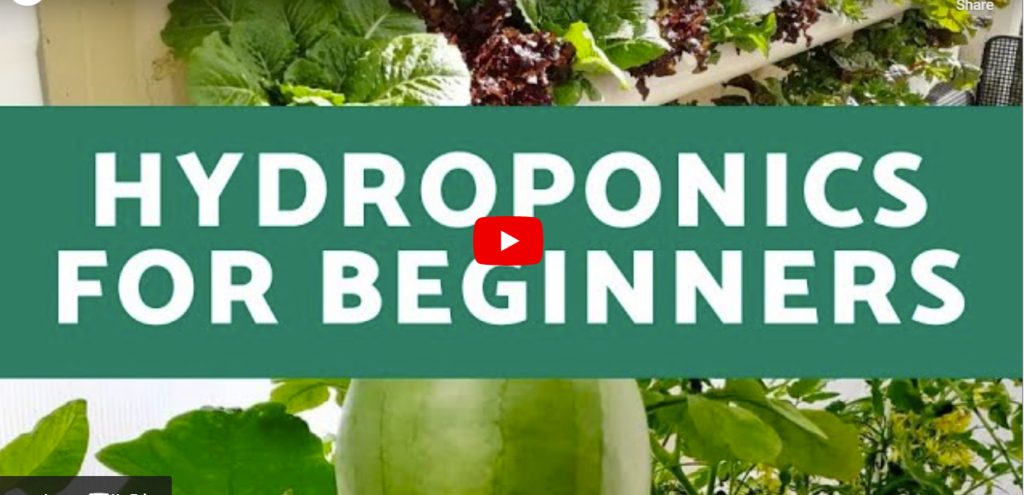 Hydroponics Growing System Indoor Garden: Honest Review