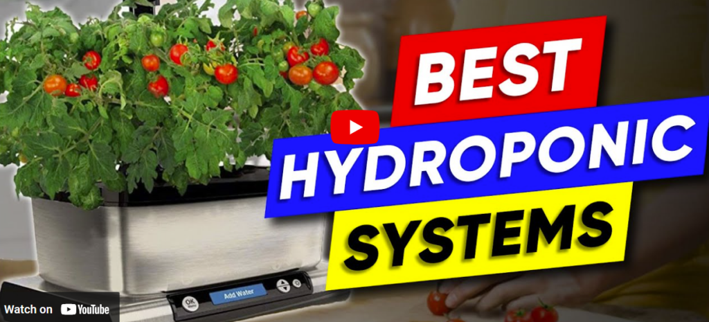 Lurluso Hydroponics Growing System Review