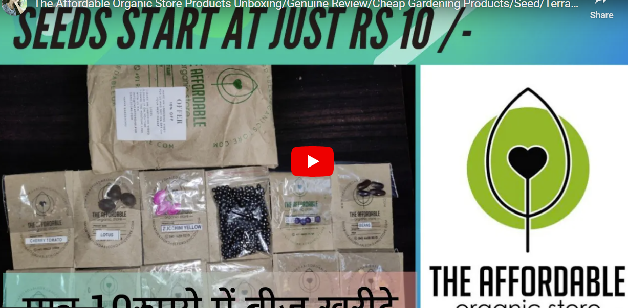 Back to the Roots Organic Seed Bundle Review