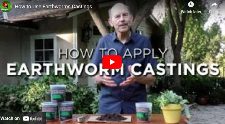 How Much Worm Castings to Add to Soil