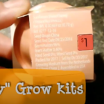 BUZZY Kids Mini Basin Seed Grow Kit Review