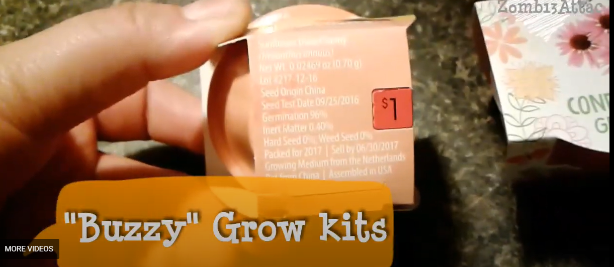 BUZZY Kids Mini Basin Seed Grow Kit Review